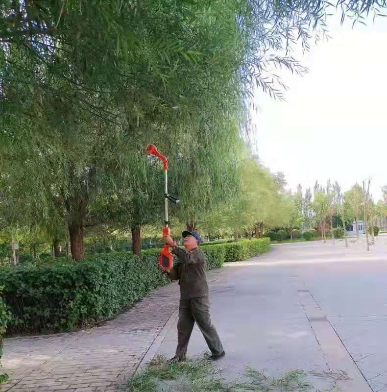&#33521;&#30343;&#20307;&#32946;&#40;&#20013;&#22269;&#41;&#20307;&#32946;&#23448;&#26041;&#32593;&#31449;