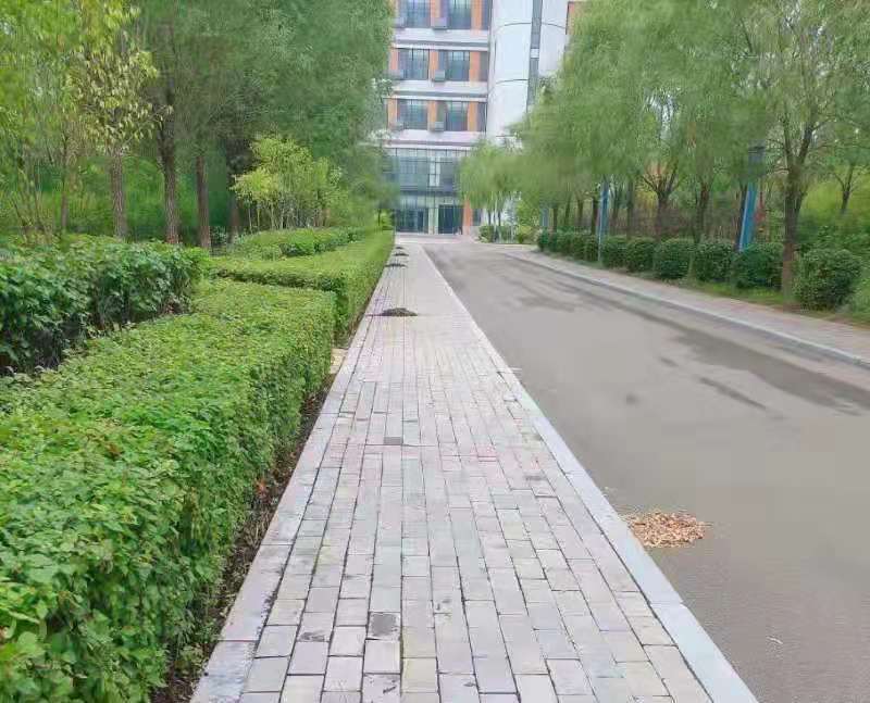 &#33521;&#30343;&#20307;&#32946;&#40;&#20013;&#22269;&#41;&#20307;&#32946;&#23448;&#26041;&#32593;&#31449;