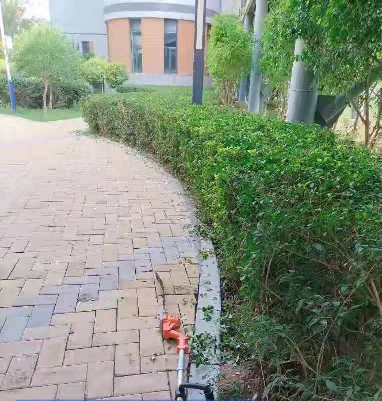 &#33521;&#30343;&#20307;&#32946;&#40;&#20013;&#22269;&#41;&#20307;&#32946;&#23448;&#26041;&#32593;&#31449;