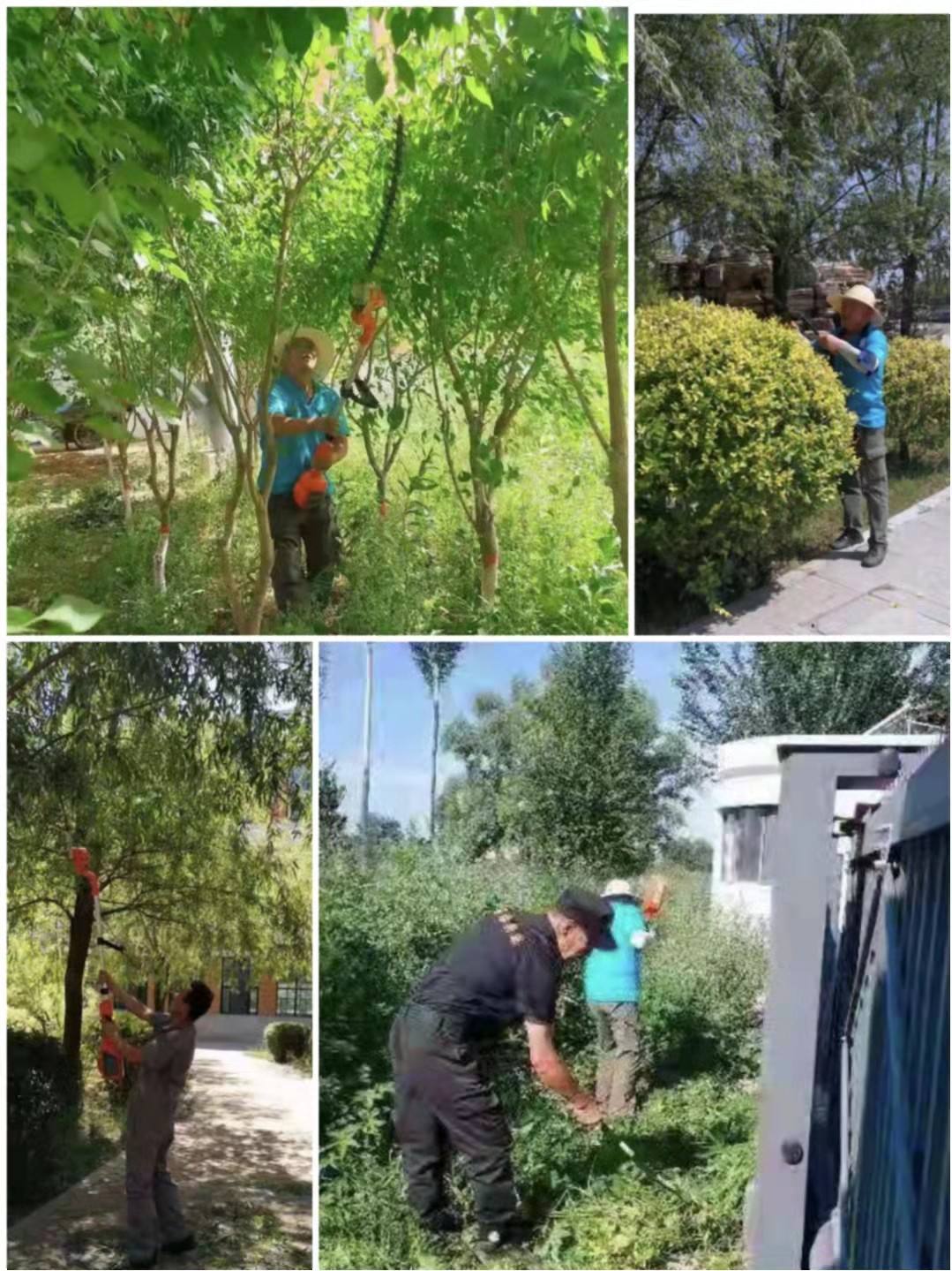 &#33521;&#30343;&#20307;&#32946;&#40;&#20013;&#22269;&#41;&#20307;&#32946;&#23448;&#26041;&#32593;&#31449;
