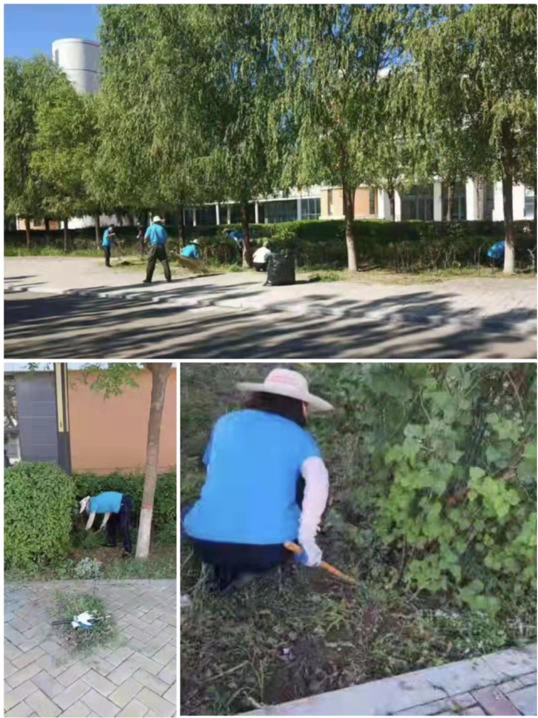 &#33521;&#30343;&#20307;&#32946;&#40;&#20013;&#22269;&#41;&#20307;&#32946;&#23448;&#26041;&#32593;&#31449;