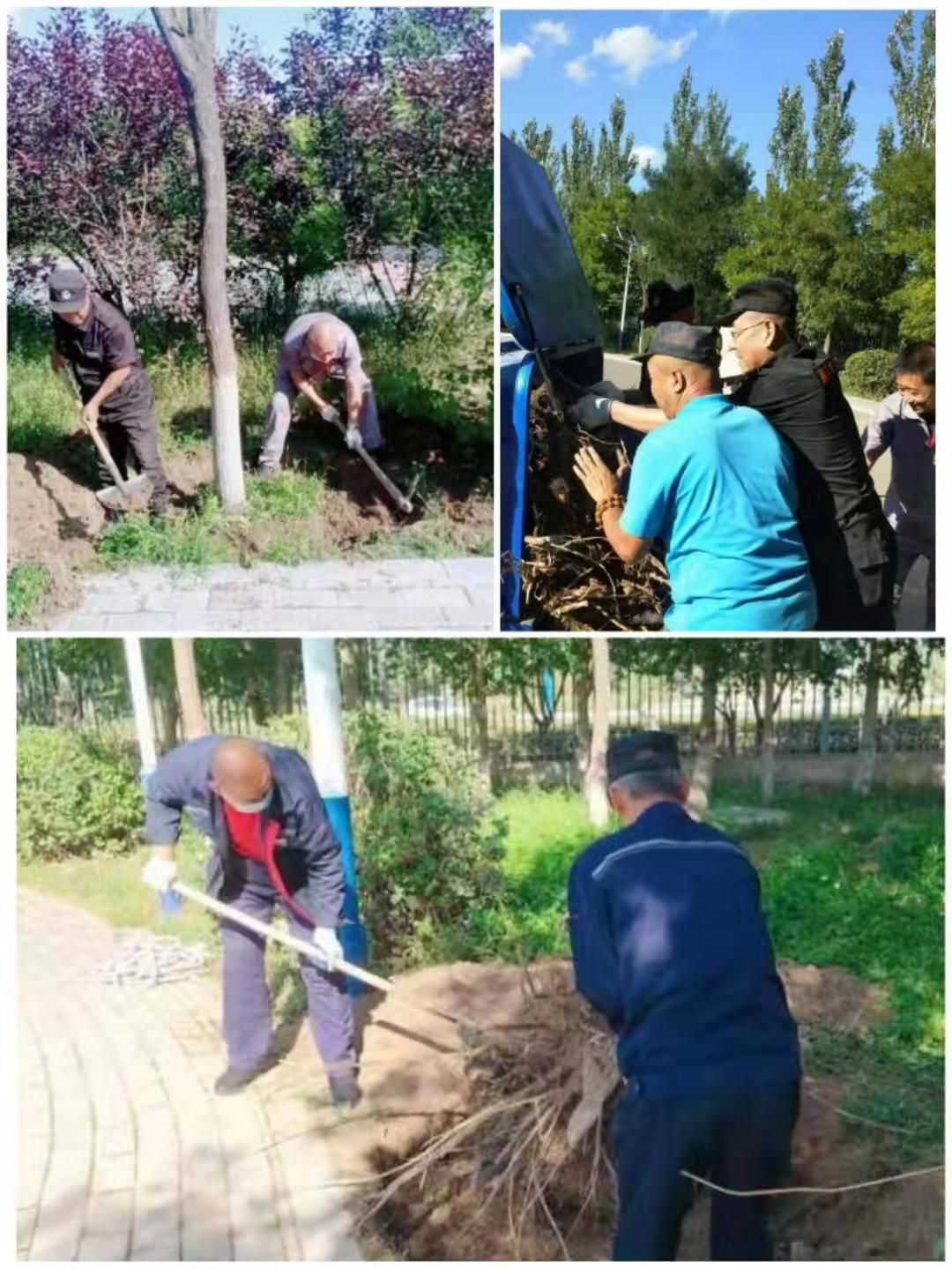 &#33521;&#30343;&#20307;&#32946;&#40;&#20013;&#22269;&#41;&#20307;&#32946;&#23448;&#26041;&#32593;&#31449;