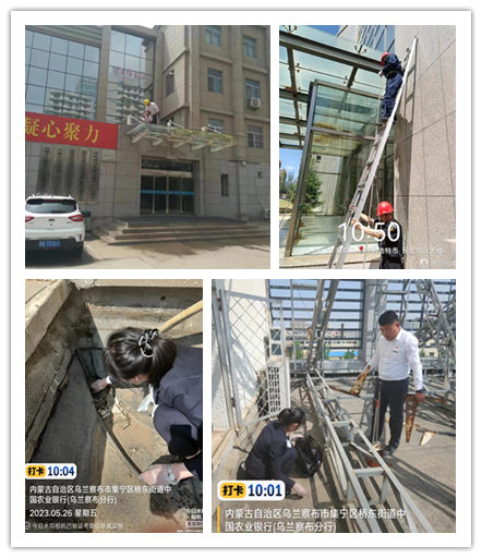 &#33521;&#30343;&#20307;&#32946;&#40;&#20013;&#22269;&#41;&#20307;&#32946;&#23448;&#26041;&#32593;&#31449;